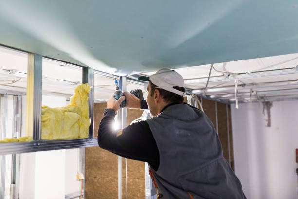 Best Geographic-Specific Insulation Services in Choctaw, OK